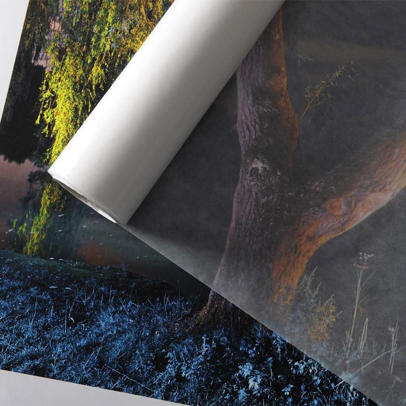 Canson Glassine Paper 40gsm Transparent 600 x 800mm – Art Shed